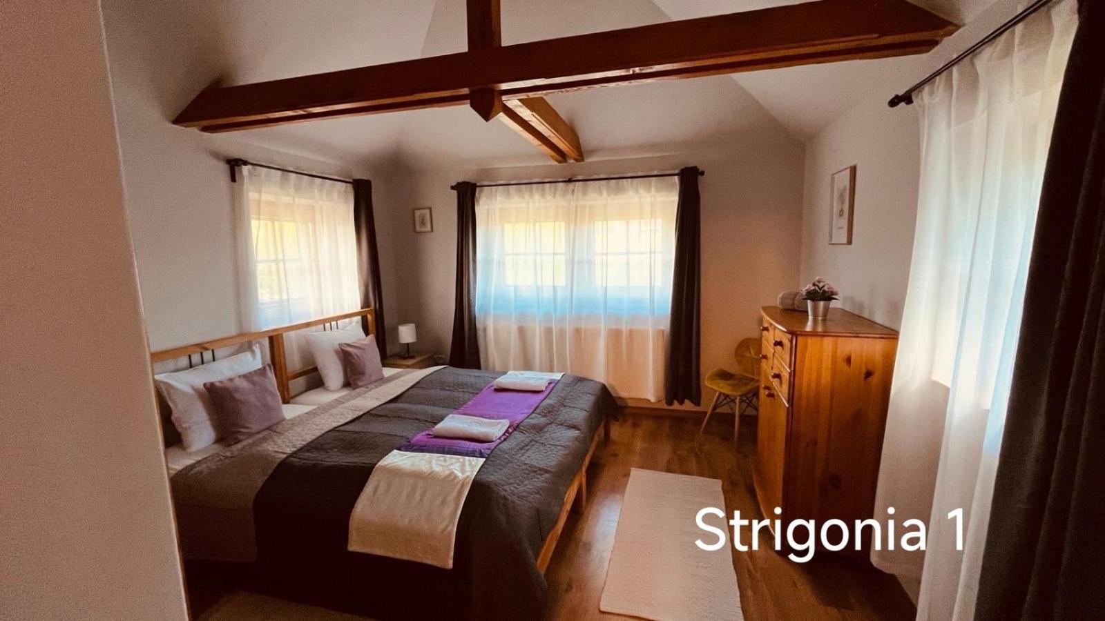 Strigonia Apartman Strigoniu Exterior foto