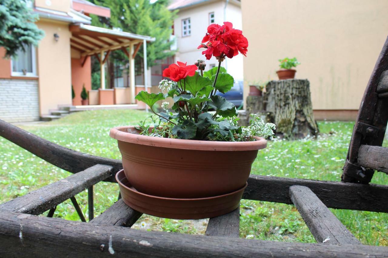 Strigonia Apartman Strigoniu Exterior foto